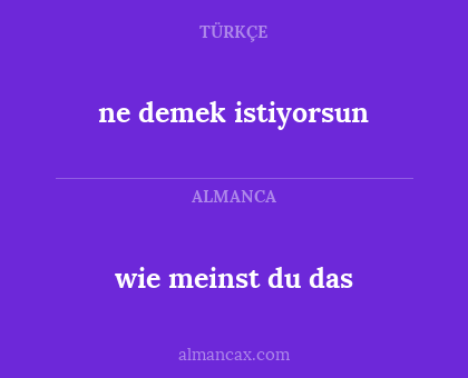wie meinst du das - ne demek istiyorsun