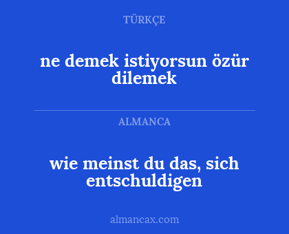 ne demek istiyorsun özür dilemek - wie meinst du das, sich entschuldigen