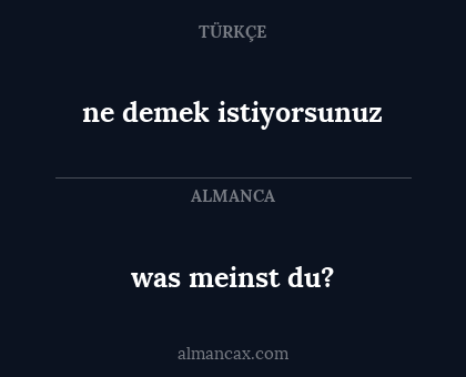 was meinst du? - ne demek istiyorsunuz