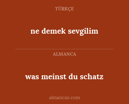 was meinst du schatz - ne demek sevgilim