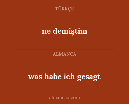 ne demiştim - was habe ich gesagt