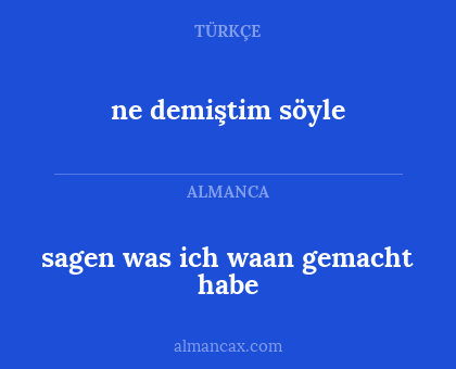 sagen was ich waan gemacht habe - ne demiştim söyle