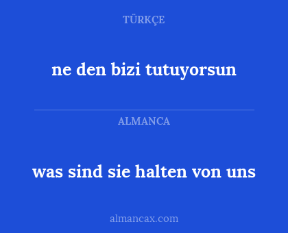 was sind sie halten von uns - ne den bizi tutuyorsun