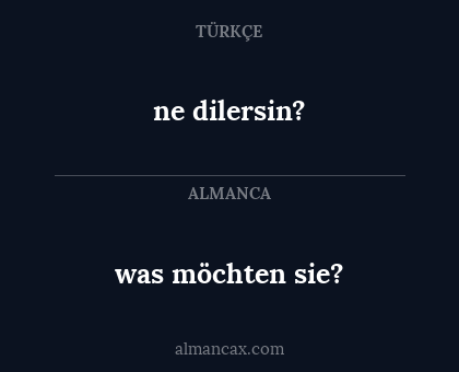 was möchten sie? - ne dilersin?