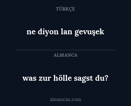 was zur hölle sagst du? - ne diyon lan gevuşek