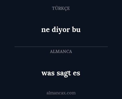 ne diyor bu - was sagt es