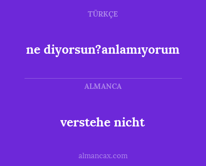 ne diyorsun?anlamıyorum - verstehe nicht