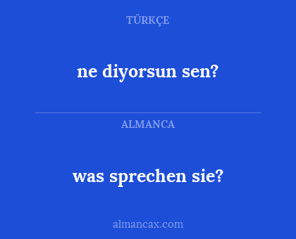 was sprechen sie? - ne diyorsun sen?