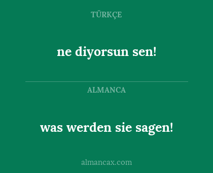 ne diyorsun sen! - was werden sie sagen!