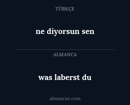 ne diyorsun sen - was laberst du