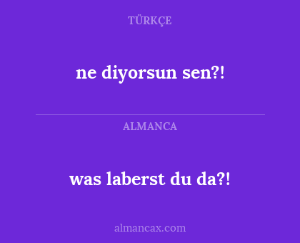 ne diyorsun sen?! - was laberst du da?!