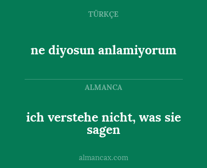 ne diyosun anlamiyorum - ich verstehe nicht, was sie sagen