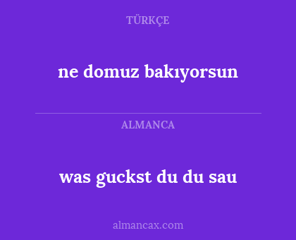 was guckst du du sau - ne domuz bakıyorsun
