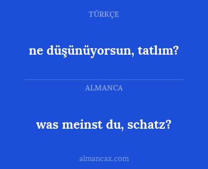 was meinst du, schatz? - ne düşünüyorsun, tatlım?
