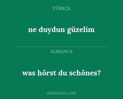 ne duydun güzelim - was hörst du schönes?