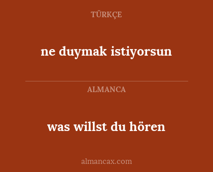 was willst du hören - ne duymak istiyorsun