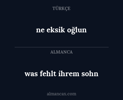 ne eksik oğlun - was fehlt ihrem sohn