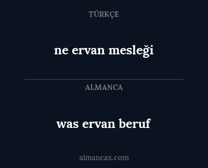 was ervan beruf - ne ervan mesleği