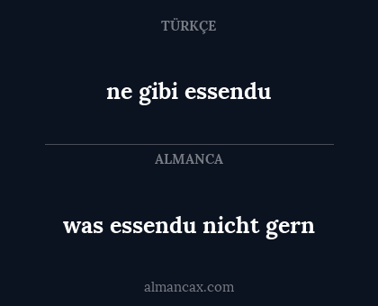 was essendu nicht gern - ne gibi essendu