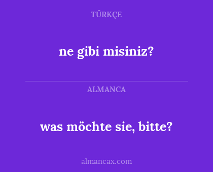 was möchte sie, bitte? - ne gibi misiniz?