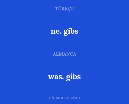 was. gibs - ne. gibs