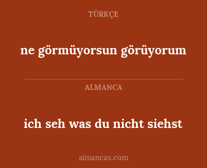 ich seh was du nicht siehst - ne görmüyorsun görüyorum