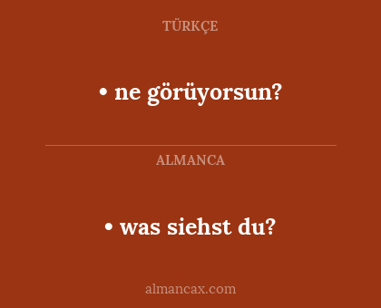 • ne görüyorsun? - • was siehst du?
