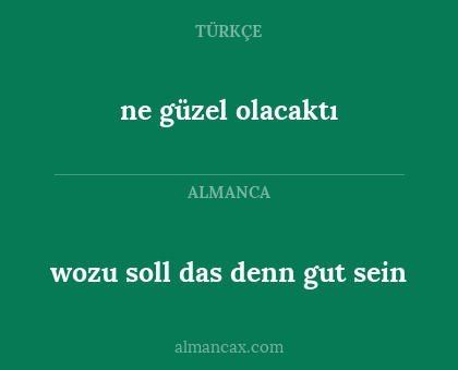 ne güzel olacaktı - wozu soll das denn gut sein
