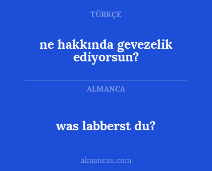 was labberst du? - ne hakkında gevezelik ediyorsun?