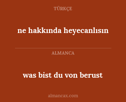 ne hakkında heyecanlısın - was bist du von berust