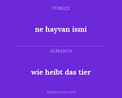 ne hayvan ismi - wie heibt das tier
