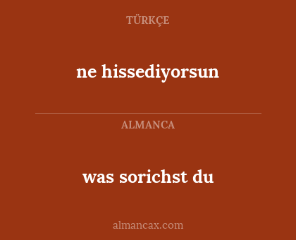 ne hissediyorsun - was sorichst du