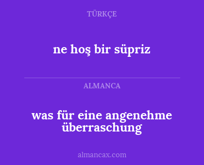 ne hoş bir süpriz - was für eine angenehme überraschung