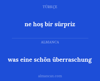 was eine schön überraschung - ne hoş bir sürpriz