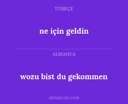 wozu bist du gekommen - ne için geldin