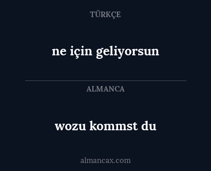 wozu kommst du - ne için geliyorsun