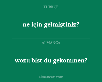 ne için gelmiştiniz? - wozu bist du gekommen?