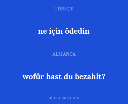 wofür hast du bezahlt? - ne için ödedin