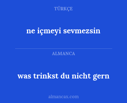 ne içmeyi sevmezsin - was trinkst du nicht gern