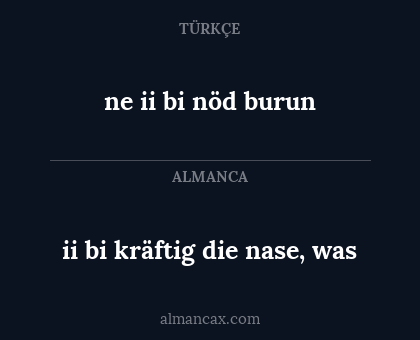 ii bi kräftig die nase, was - ne ii bi nöd burun
