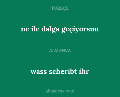 wass scheribt ihr - ne ile dalga geçiyorsun
