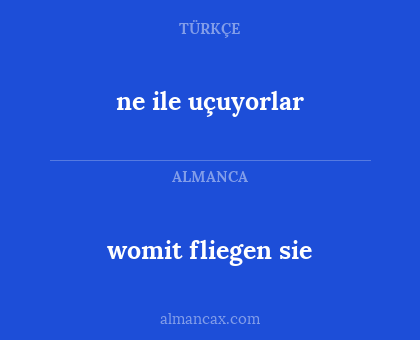 womit fliegen sie - ne ile uçuyorlar