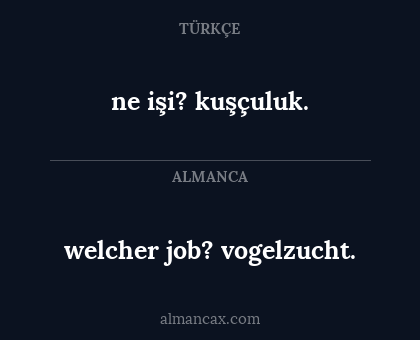 ne işi?
kuşçuluk. - welcher job? vogelzucht.