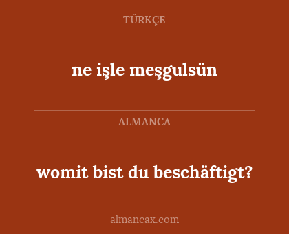 womit bist du beschäftigt? - ne işle meşgulsün