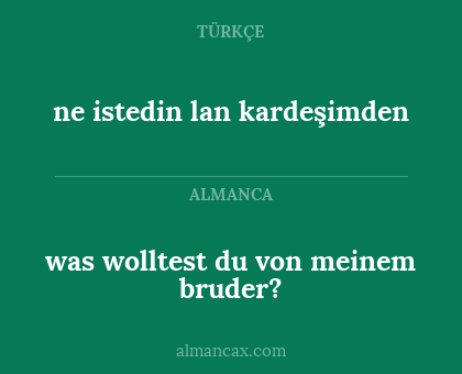 was wolltest du von meinem bruder? - ne istedin lan kardeşimden