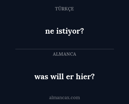 ne istiyor? - was will er hier?