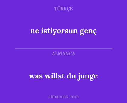 was willst du junge - ne istiyorsun genç