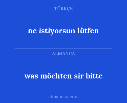 ne istiyorsun lütfen - was möchten sir bitte