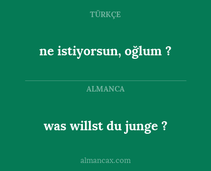 was willst du junge ? - ne istiyorsun, oğlum ?
