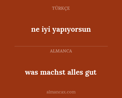 was machst alles gut - ne iyi yapıyorsun